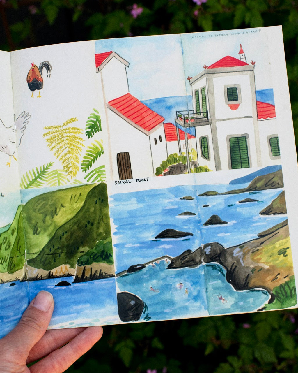 Pages from Portugal- trave book