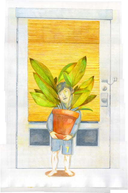 Plant (Dez)
