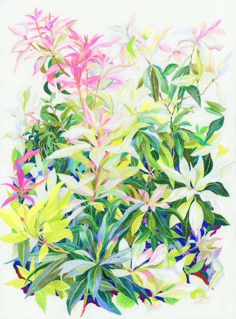 Exquisite Flexibility