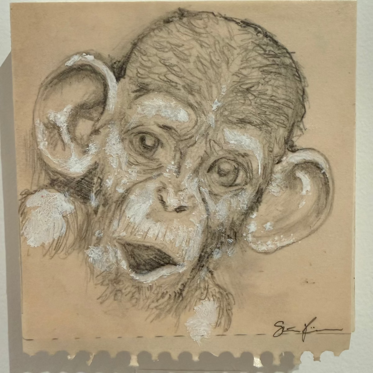 Sketch of a monkey's face on brown paper with a signature at the bottom right corner.