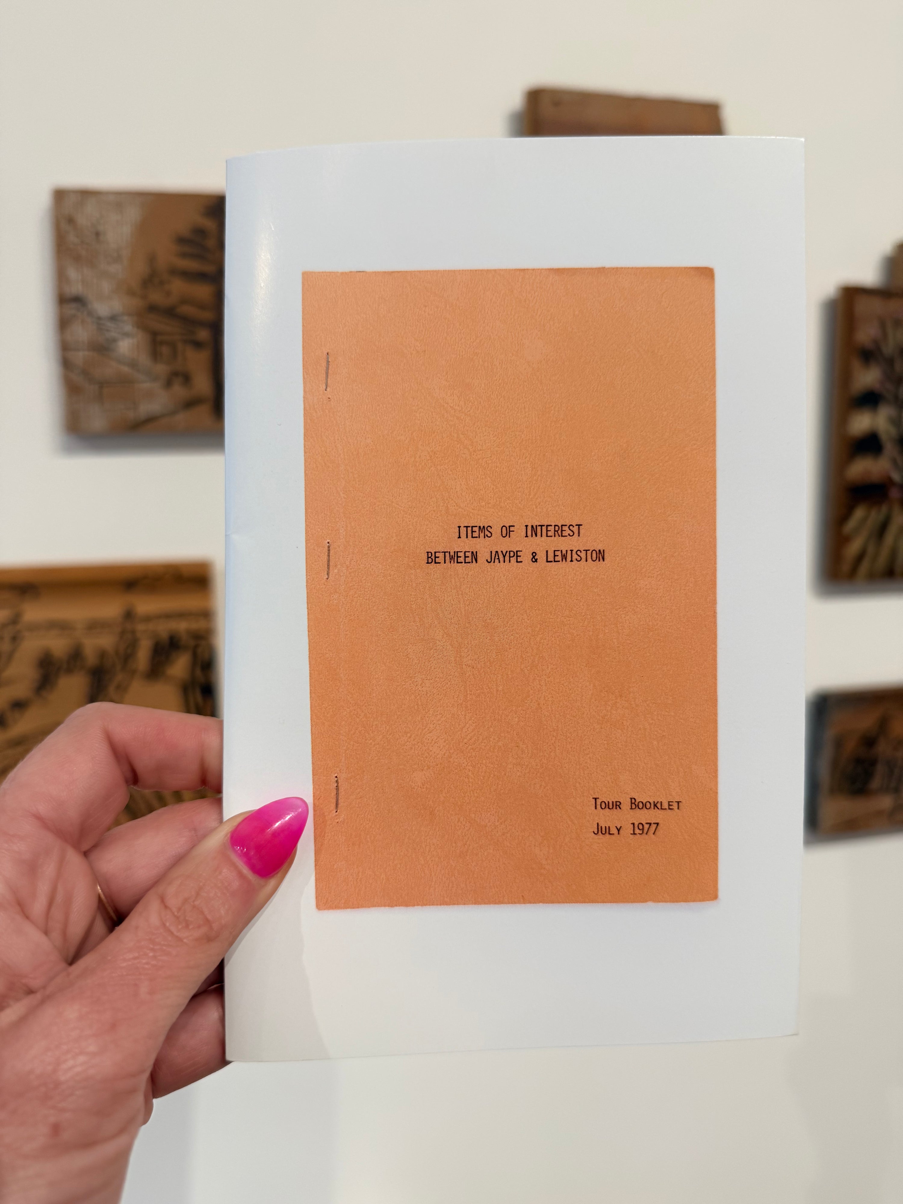 Items of Interest Between Jaype & Lewiston book