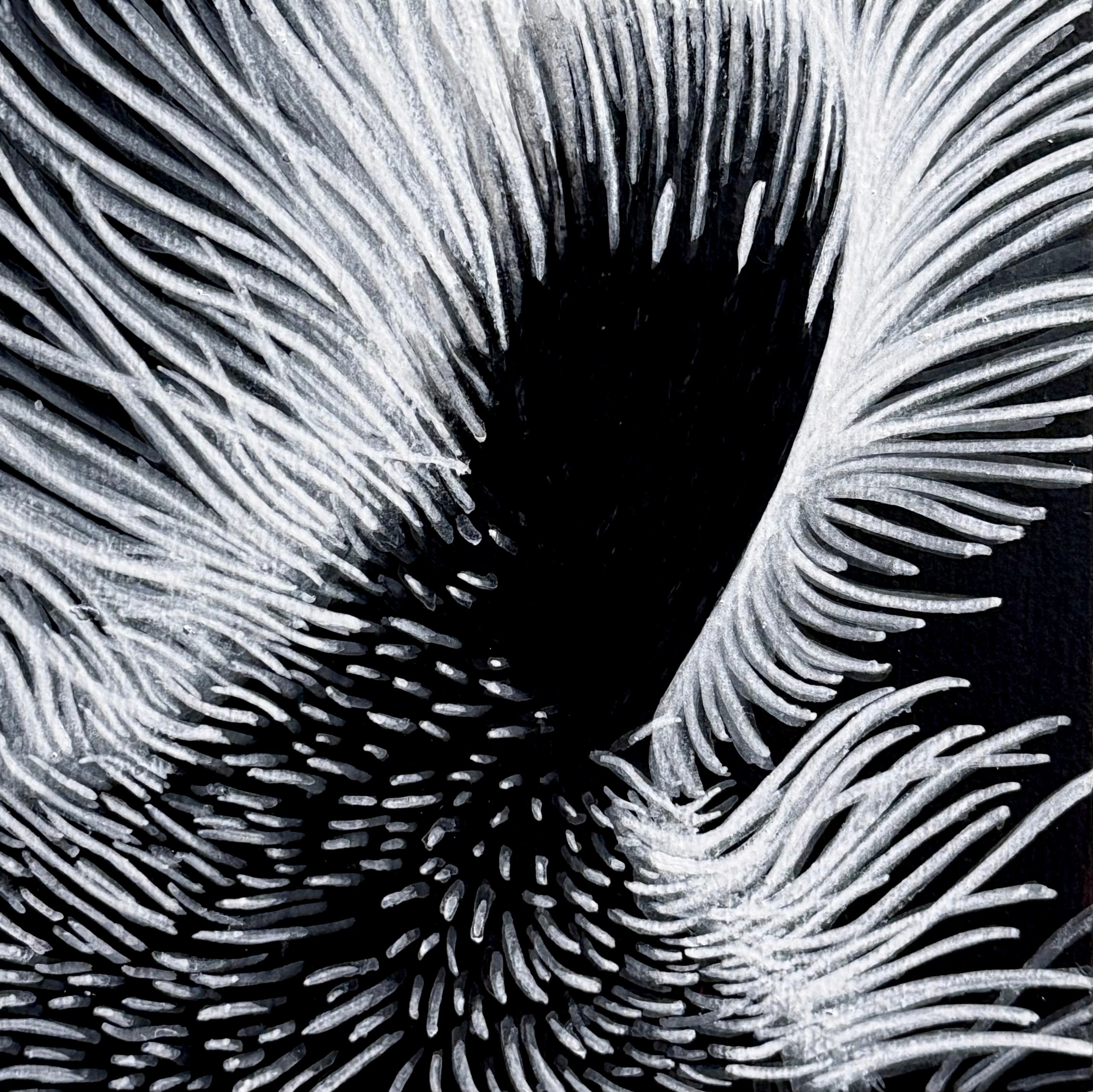 Close-up of a black and white textured pattern
