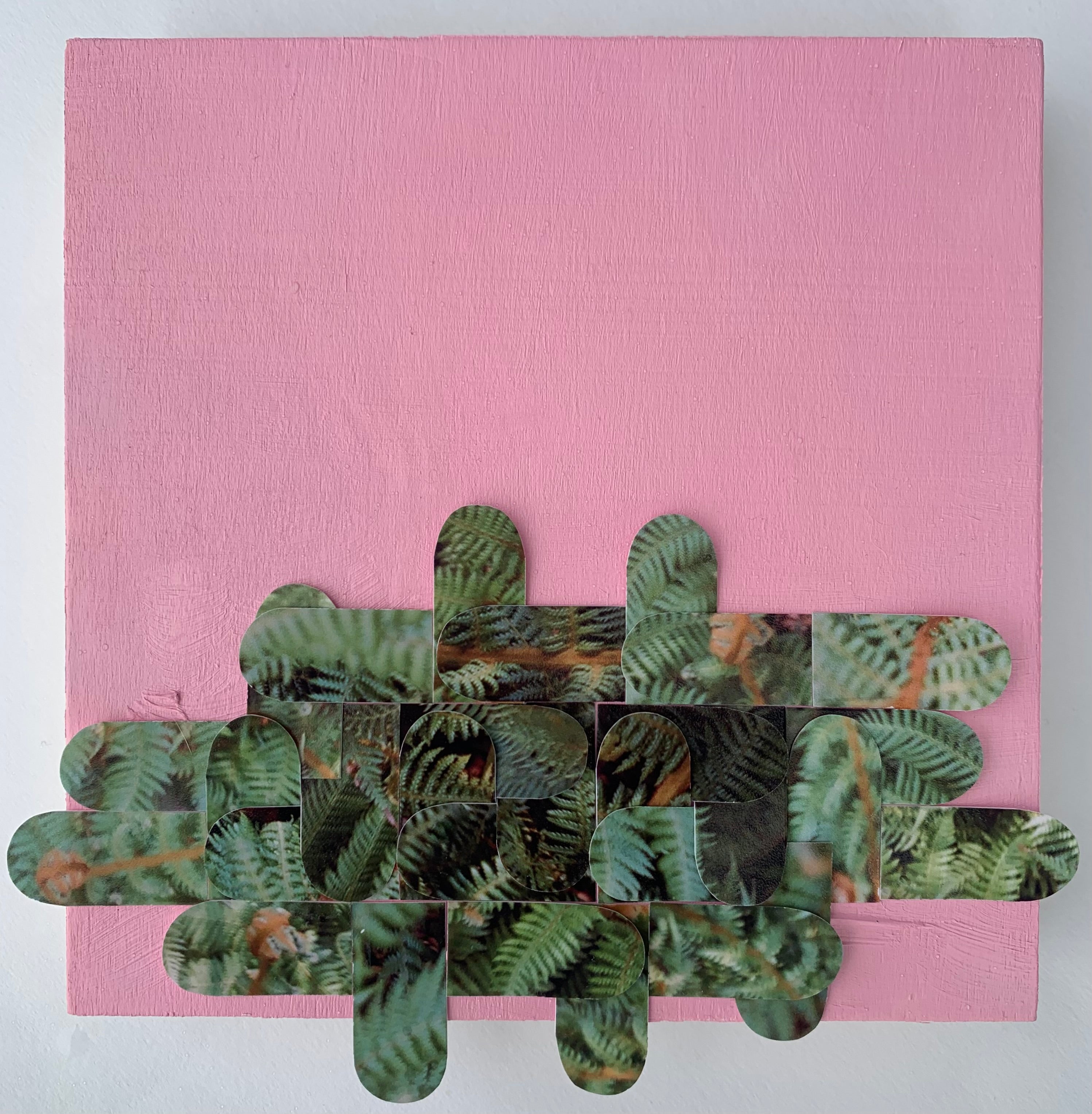 Artistic arrangement of green leaf-patterned popsicle sticks on a pink background