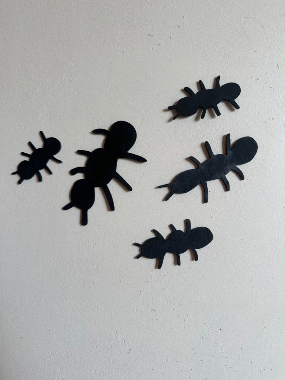 Set of 5 Ants (artists choice)