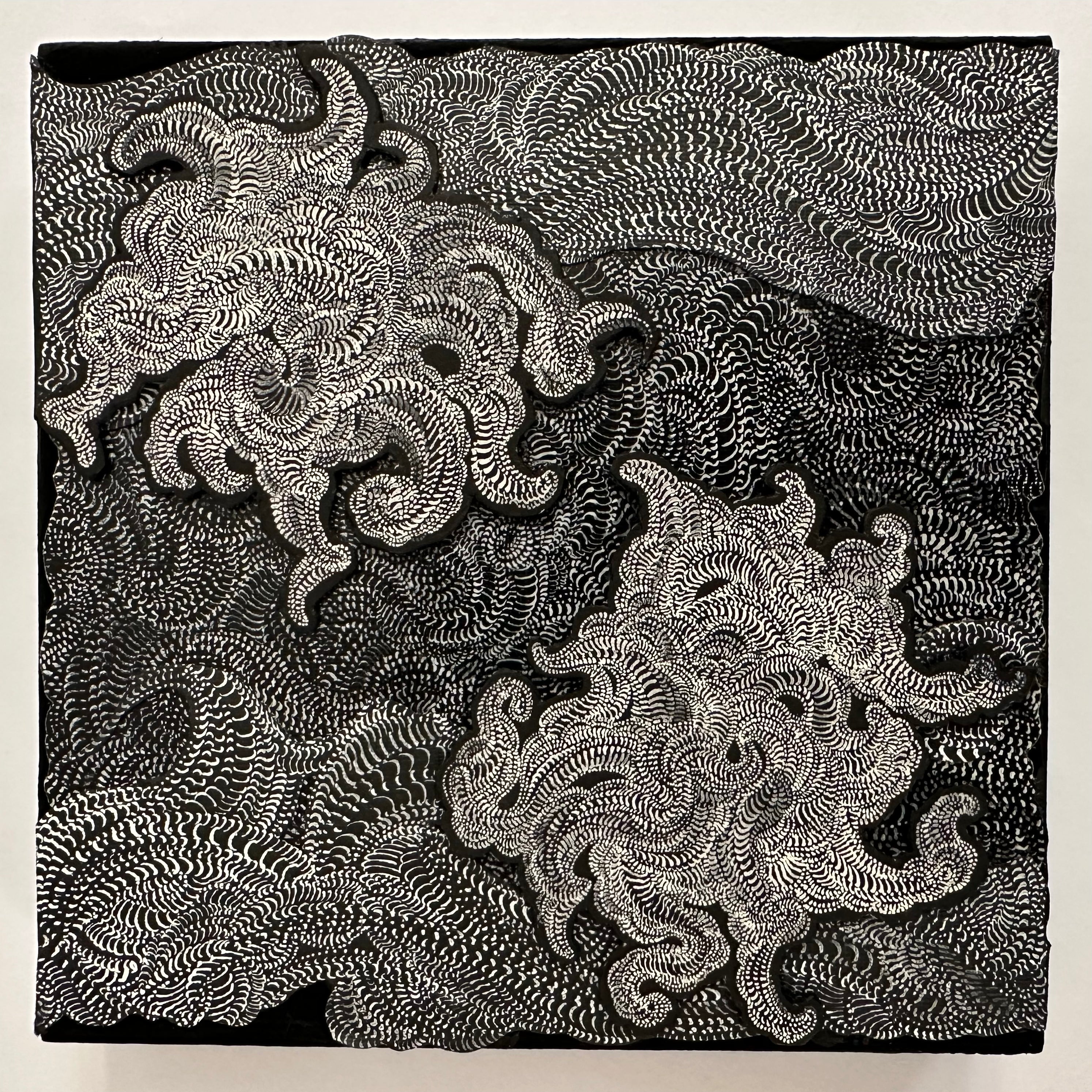 Black and white abstract patterned fabric on a plain background