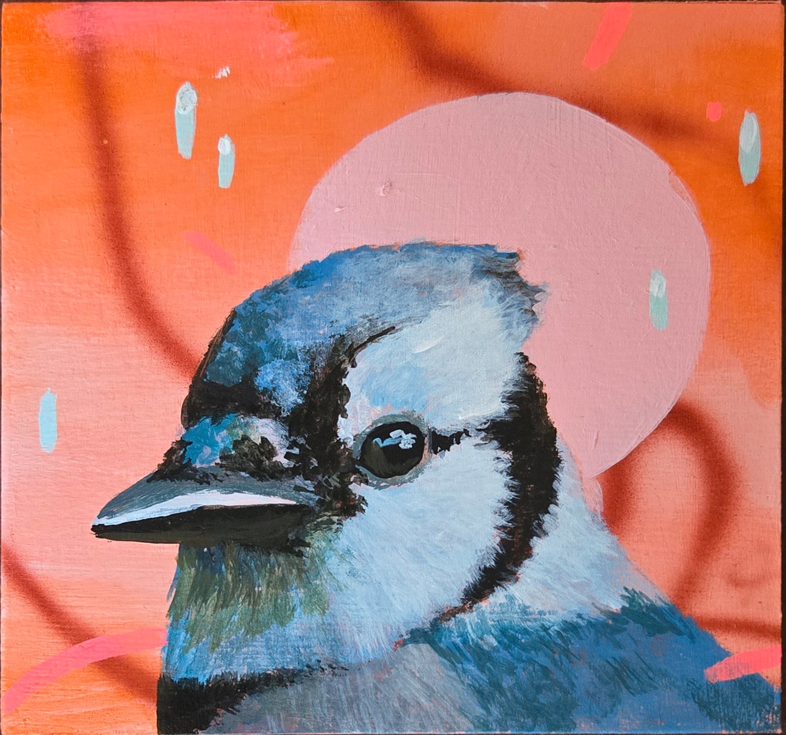 Painting of a blue jay bird with a pink and orange abstract background
