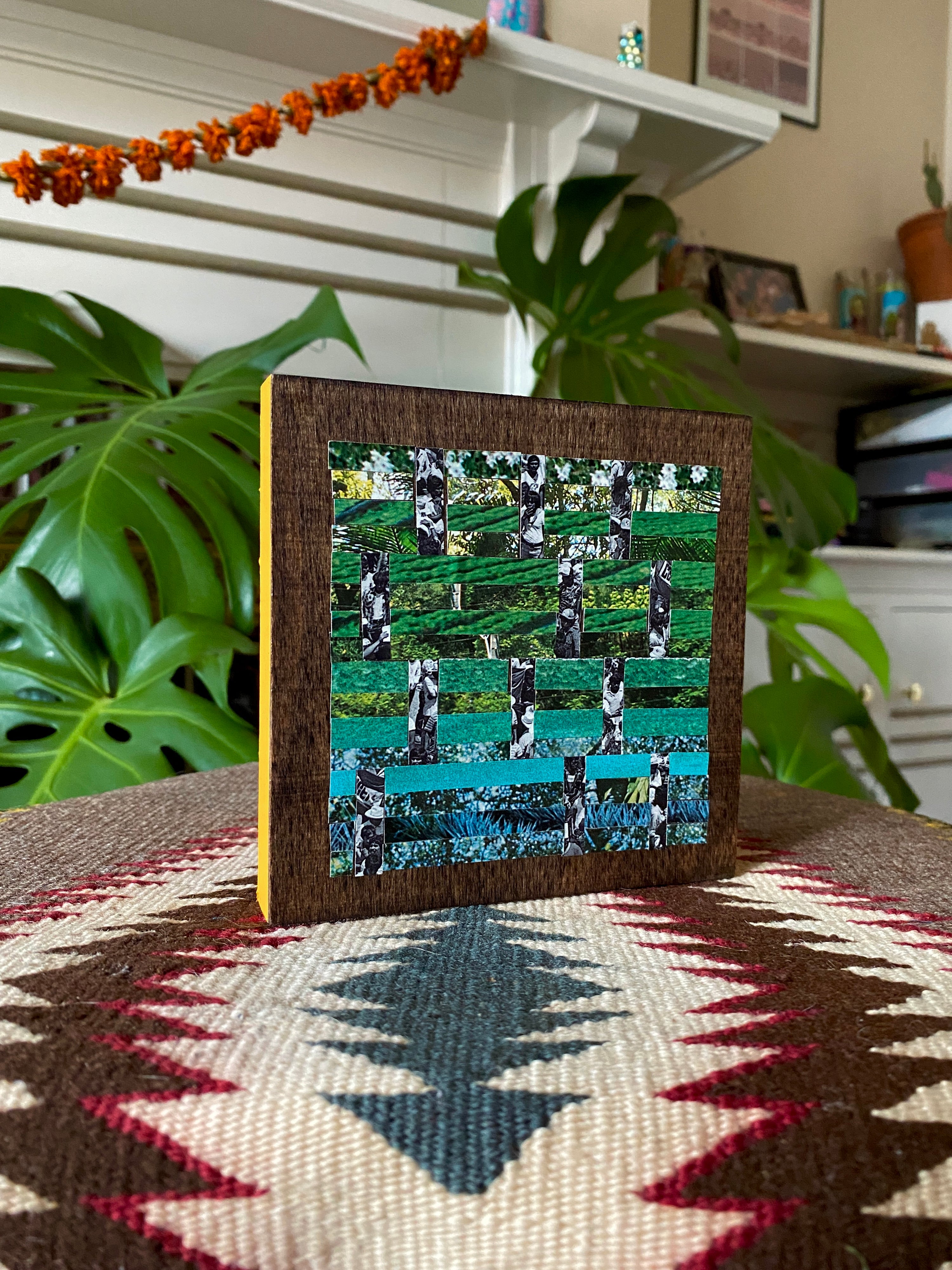 Framed artwork with a nature-themed collage on a textured surface